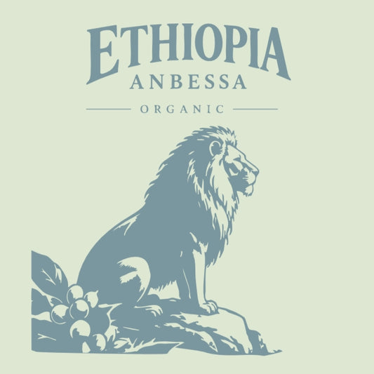 Ethiopia - Anbessa Organic Reserve Natural