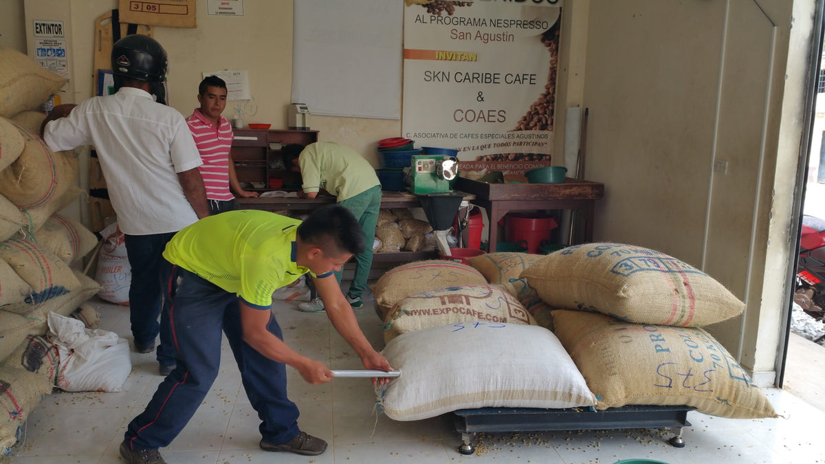 Colombia - Huila San Augustin - Green Beans